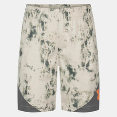 UA Printed Logo Little Boys' Shorts