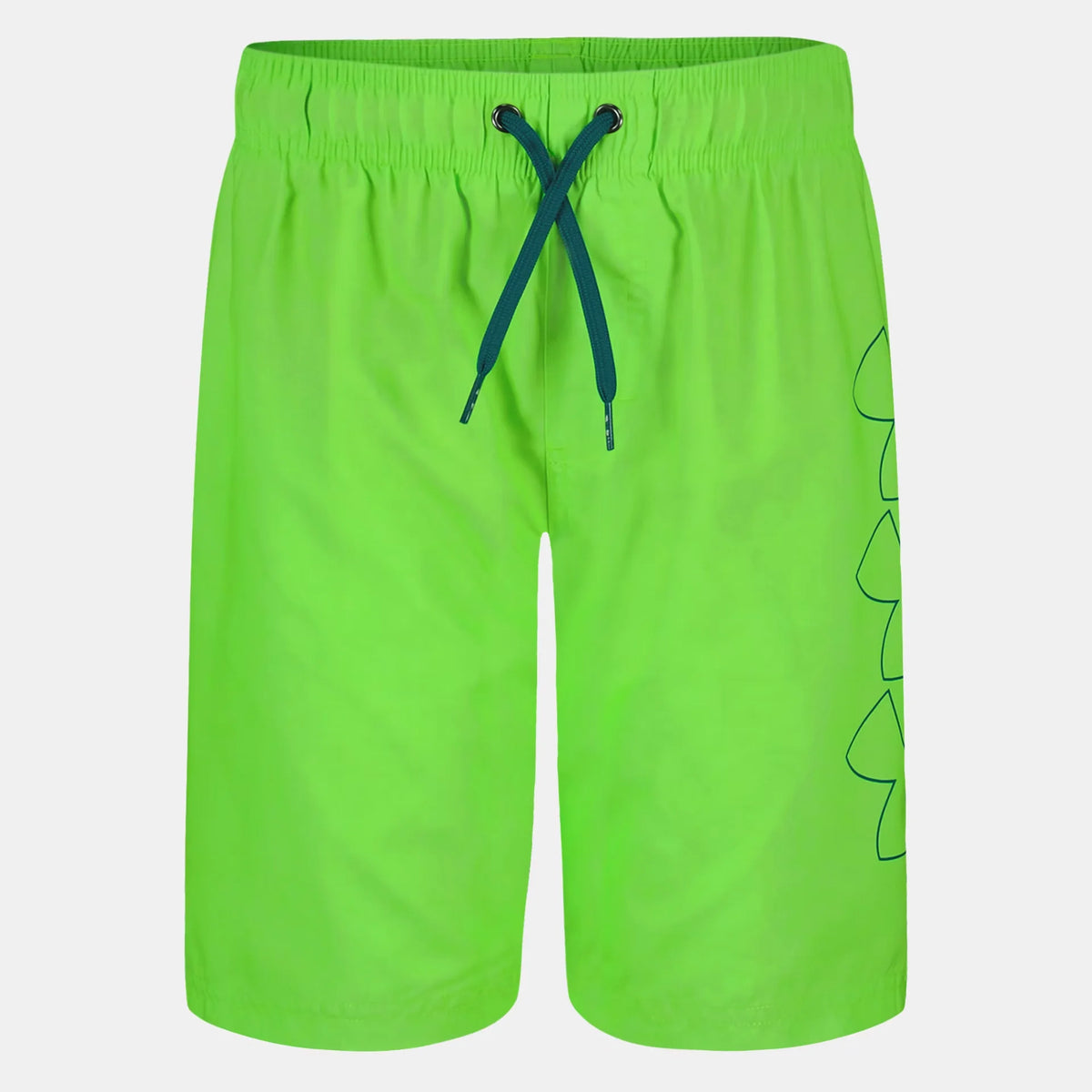 UA DWR Print Boys' Volley Shorts