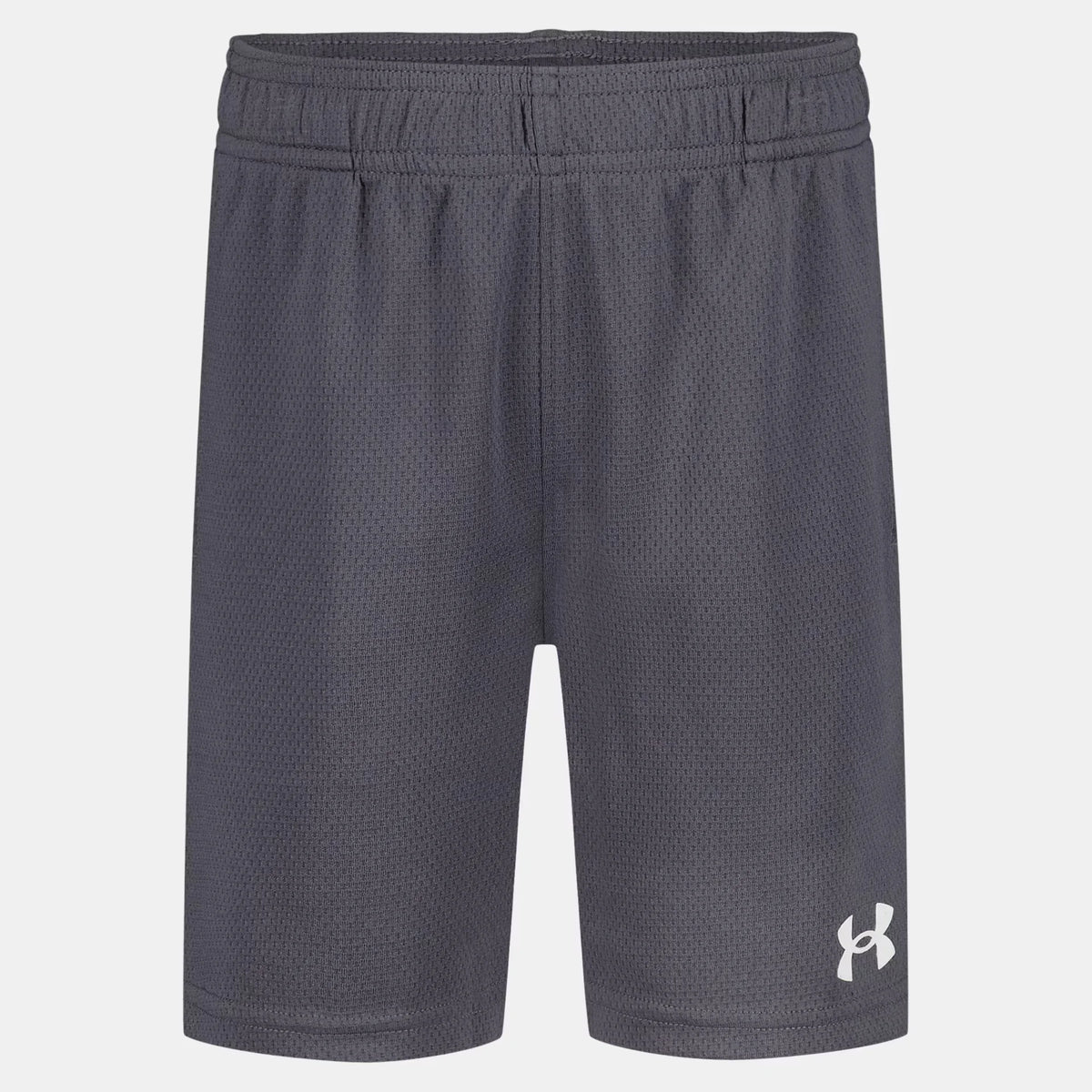 UA Tech™ Wordmark Little Boys' Shorts